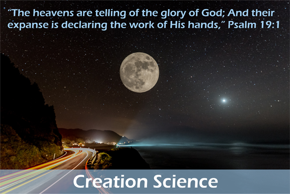 Creation Science Resources from Dr. Ray Mondragon